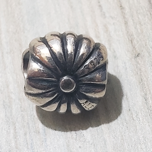 Pandora Bracelet! - Picture 5 of 16